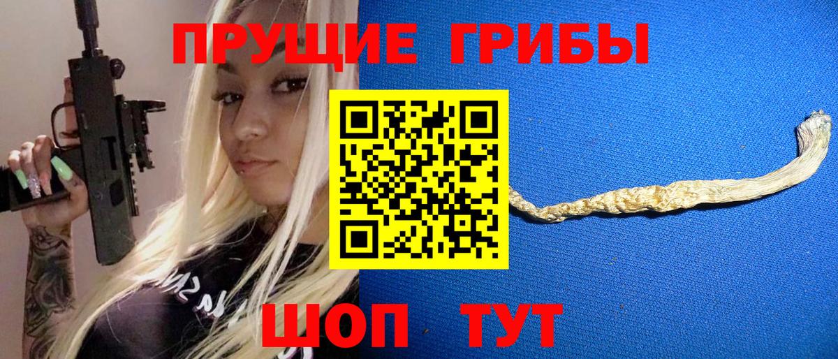 Псилоцибиновые грибы Psilocybe Чернушка