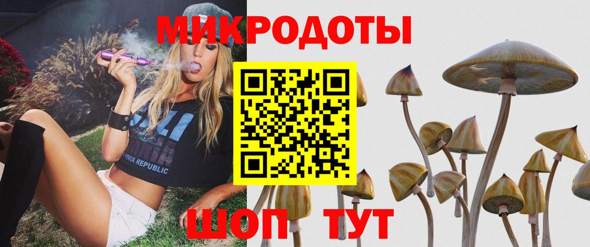 Галлюциногенные грибы Psilocybe  Галлюциногенные грибы Psilocybe  Вход с VPN  Чернушка 