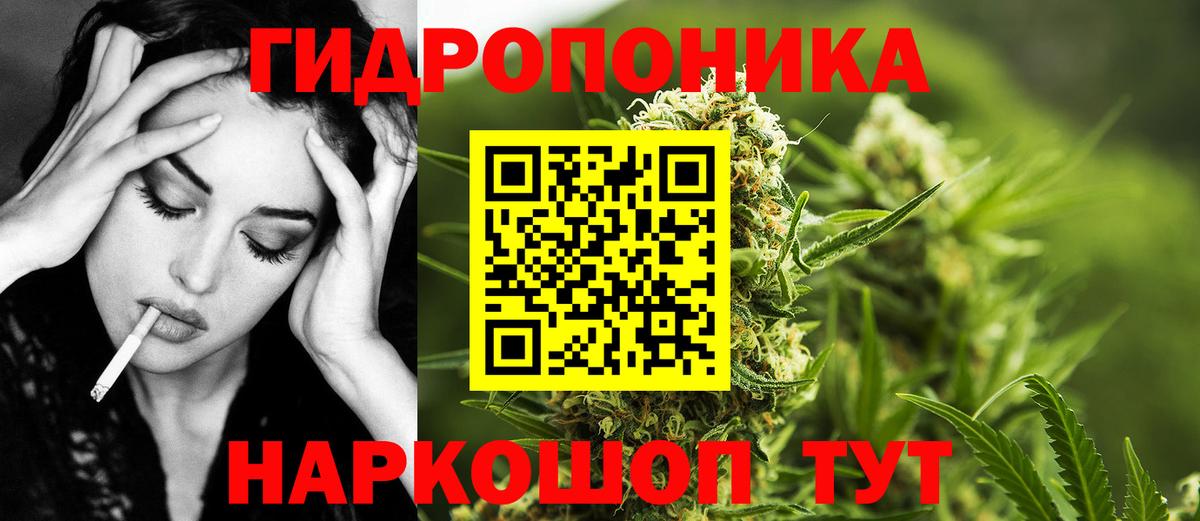 Конопля MAZAR  Шишки марихуана план  Канабис сатива  Шишки марихуана THC 21%  Чернушка  Вход с VPN 